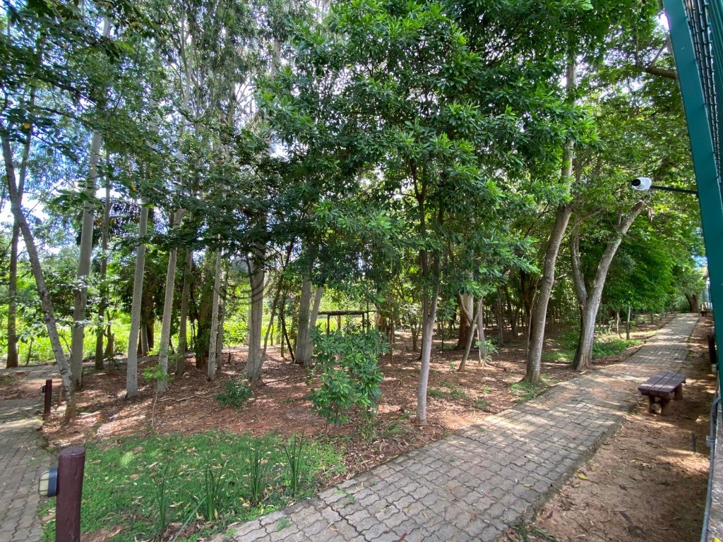 Terreno, 300 m² - Foto 15