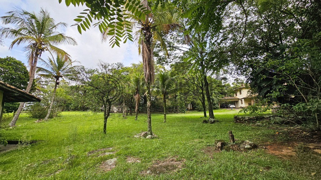 Terreno, 2 hectares - Foto 6