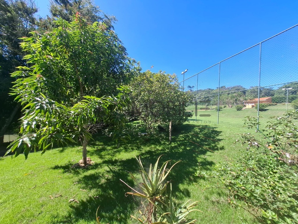 Sítio, 3 quartos, 465 m² - Foto 42