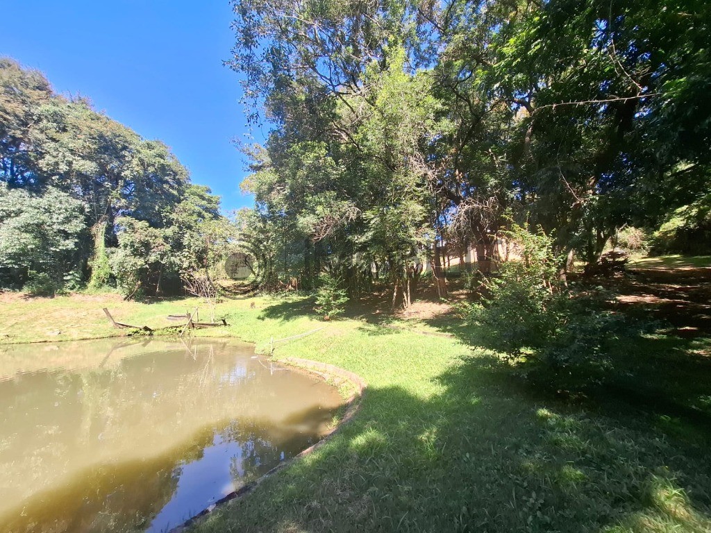 Sítio, 3 quartos, 465 m² - Foto 48