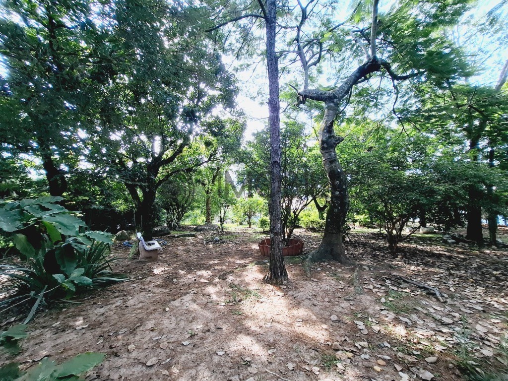 Casa, 4 quartos, 400 m² - Foto 73