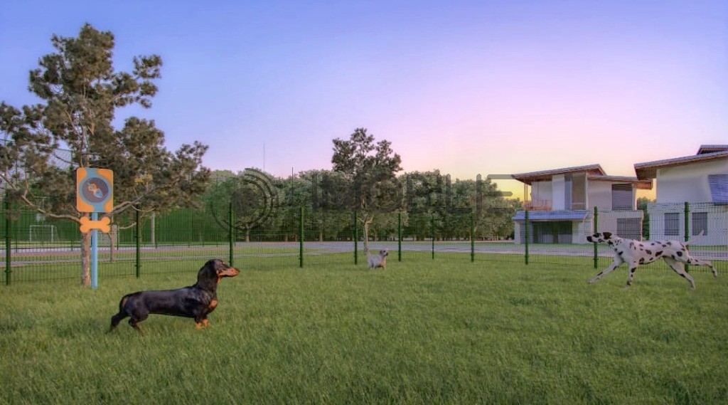Terreno, 150 m² - Foto 16
