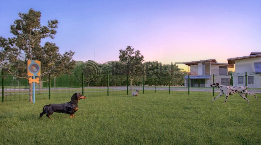 Terreno, 150 m² - Foto 13