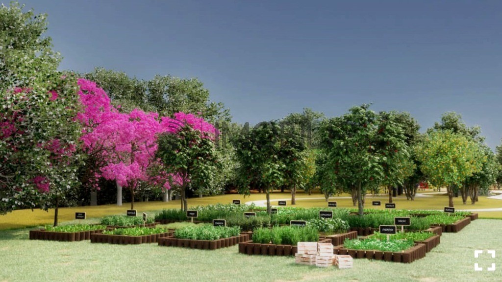 Terreno, 150 m² - Foto 11