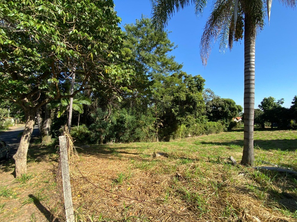 Terreno, 1000 m² - Foto 4