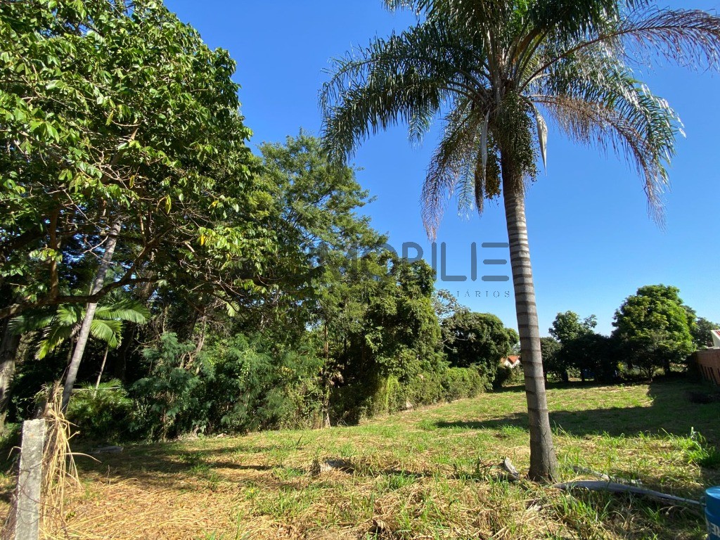 Terreno, 1000 m² - Foto 5