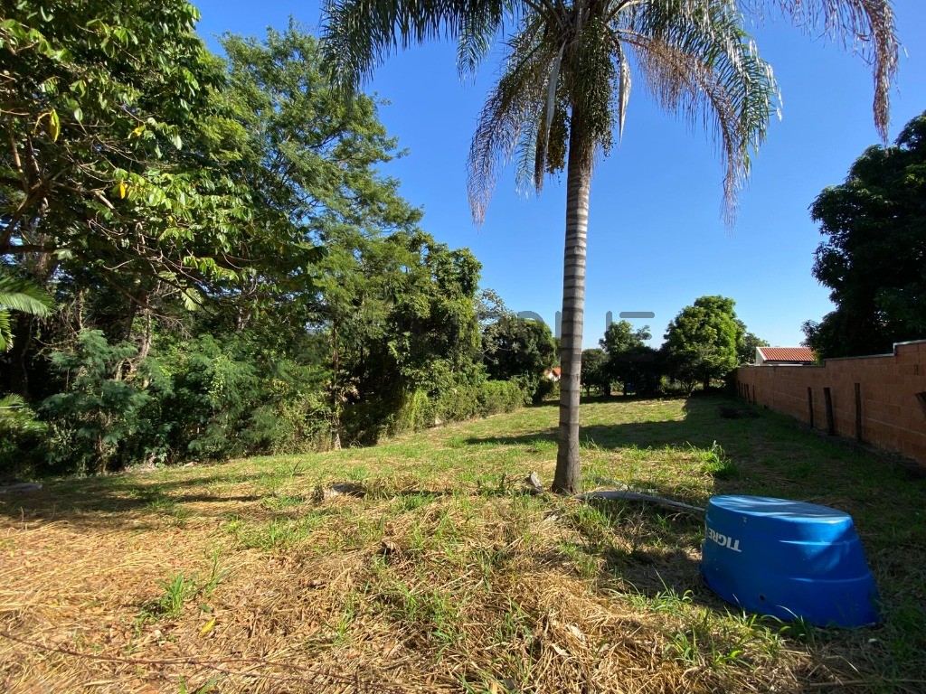 Terreno, 1000 m² - Foto 3