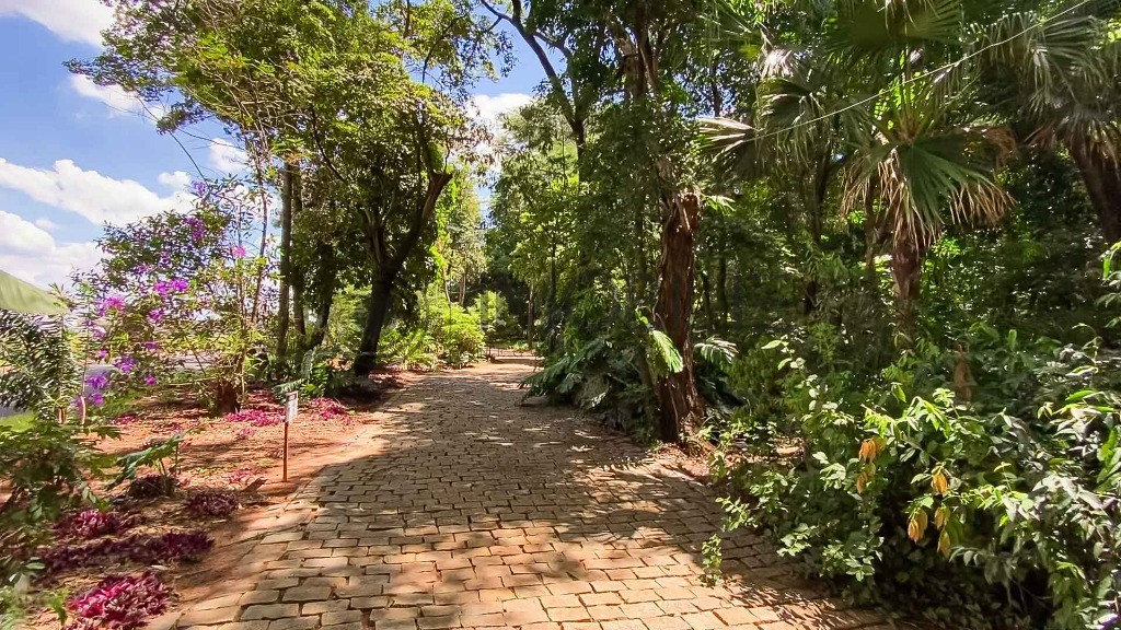Terreno, 302 m² - Foto 5
