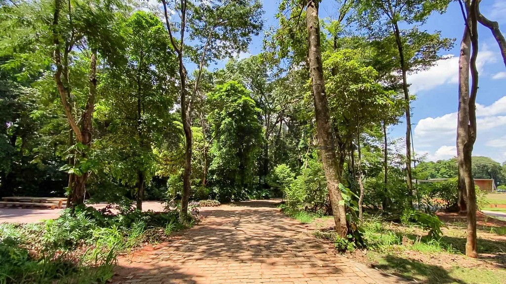 Terreno, 360 m² - Foto 4