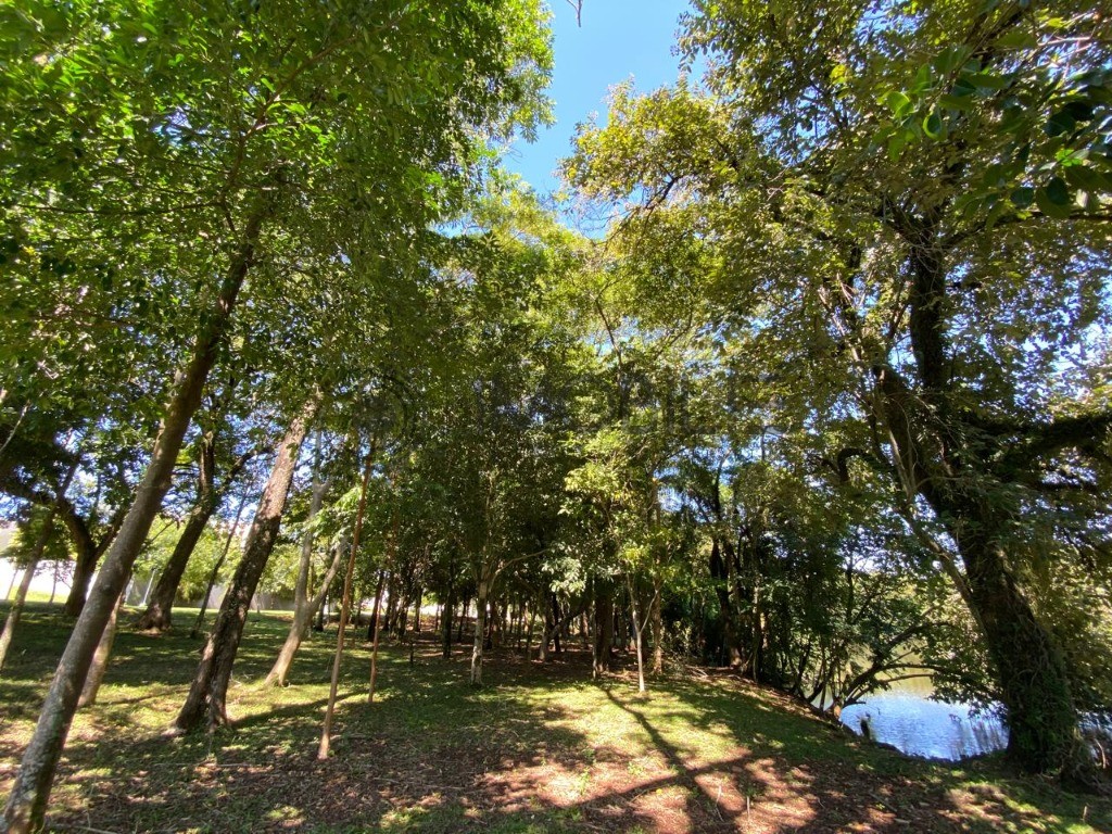 Terreno, 525 m² - Foto 9
