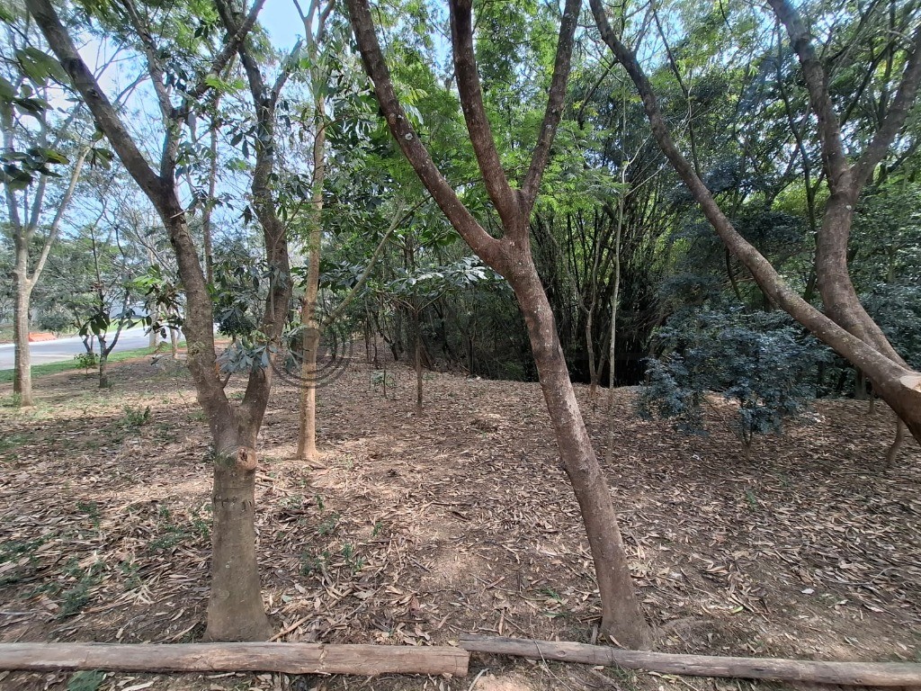 Casa, 3 quartos, 165 m² - Foto 39
