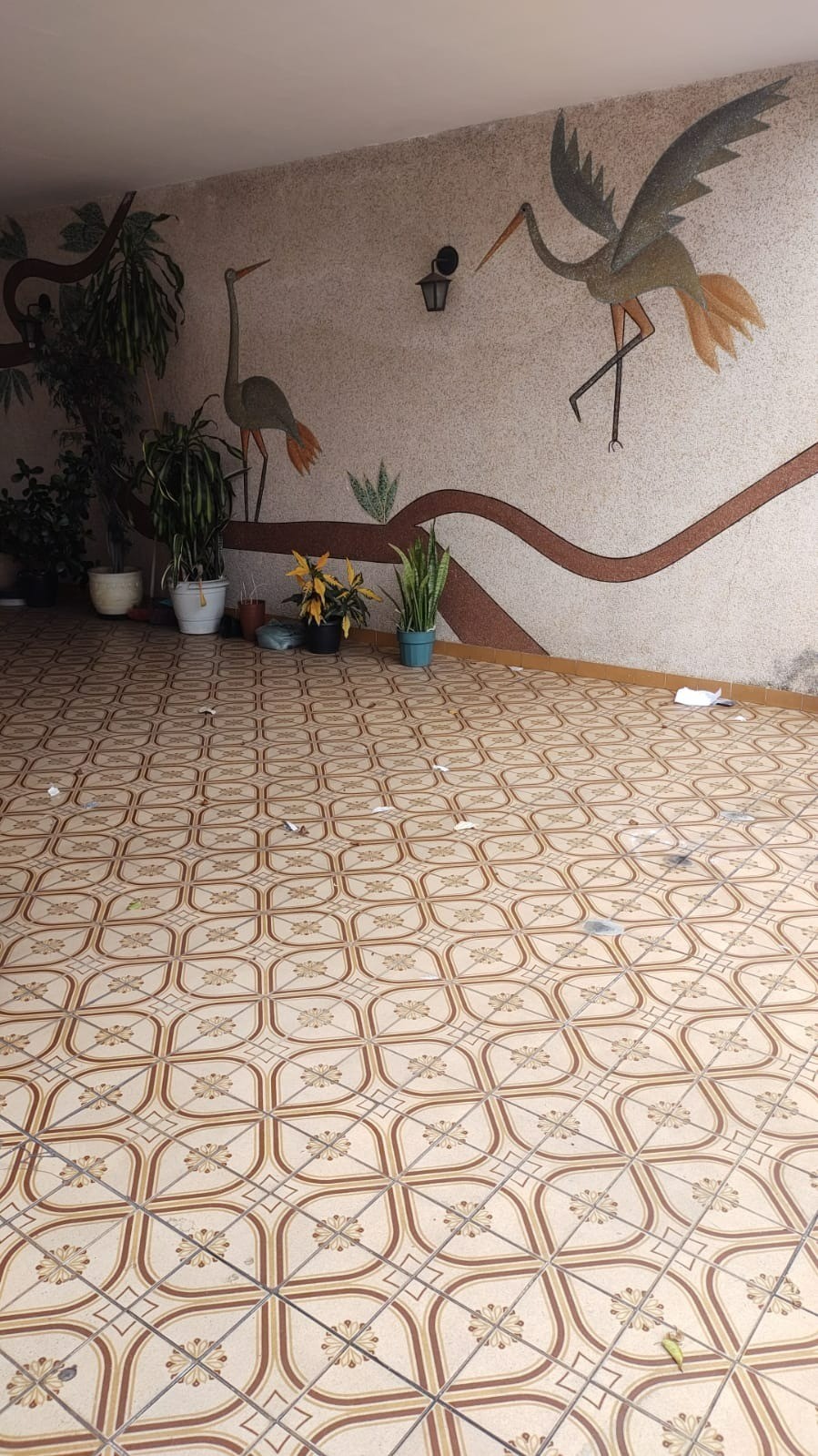Casa comercial em são paulo - sp, vila carrão