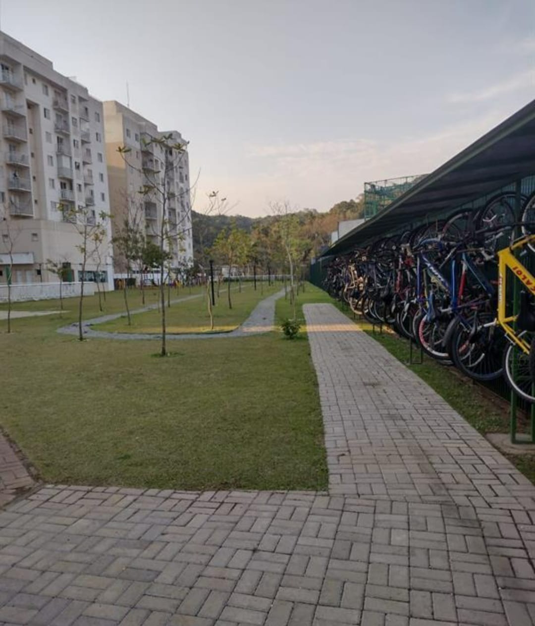 Apartamento residencial em são paulo - sp, jardim colonial