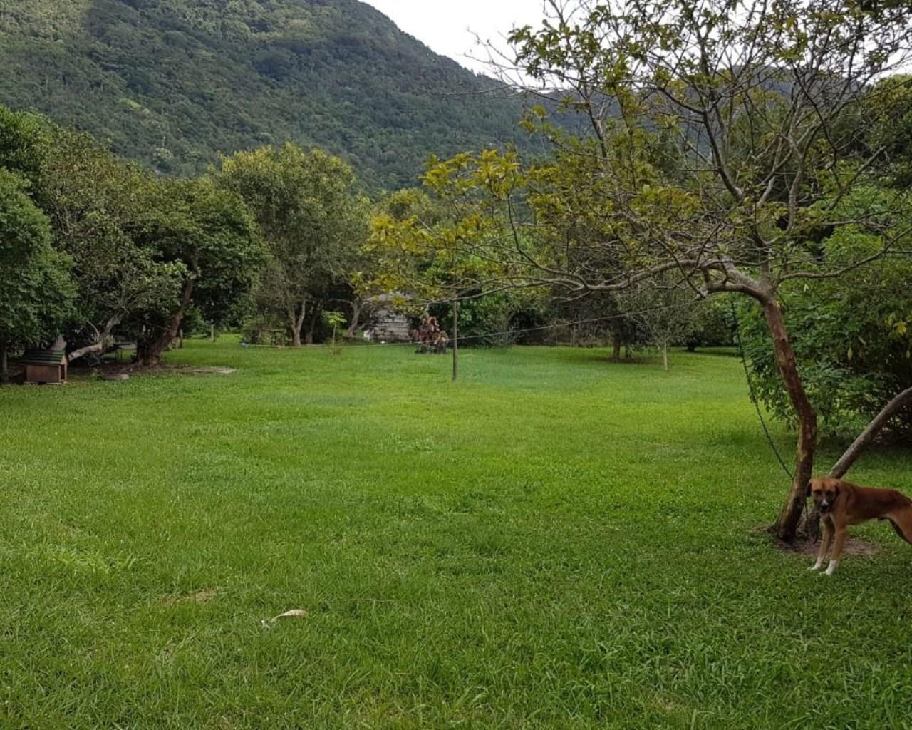 Área à venda, 76230 m² por R$ 5.300.000,00 - rio vermelho - 