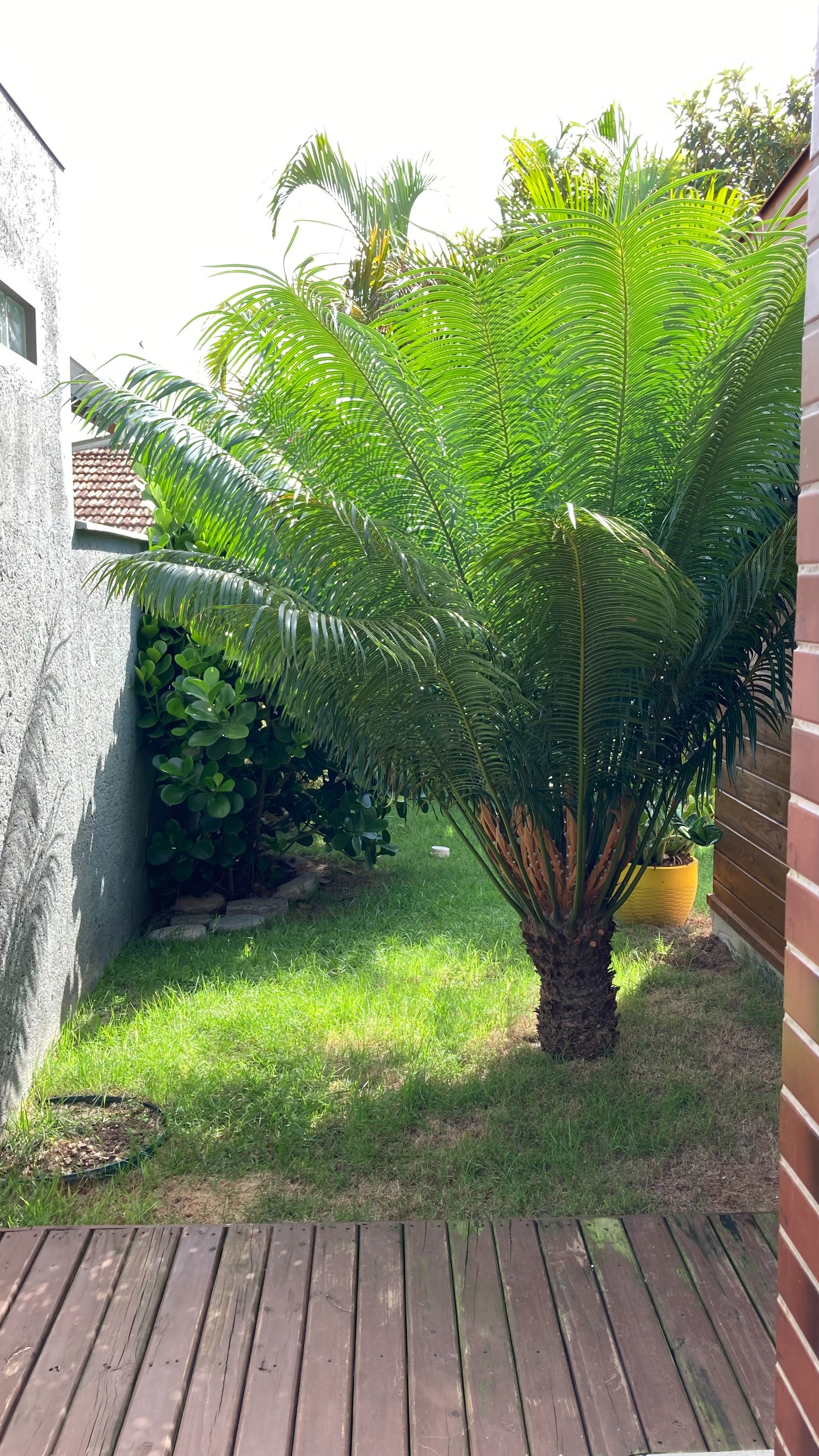 NOBILLE IMÓVEIS vende - Excelente casa a 700 metros da praia dos Ingleses