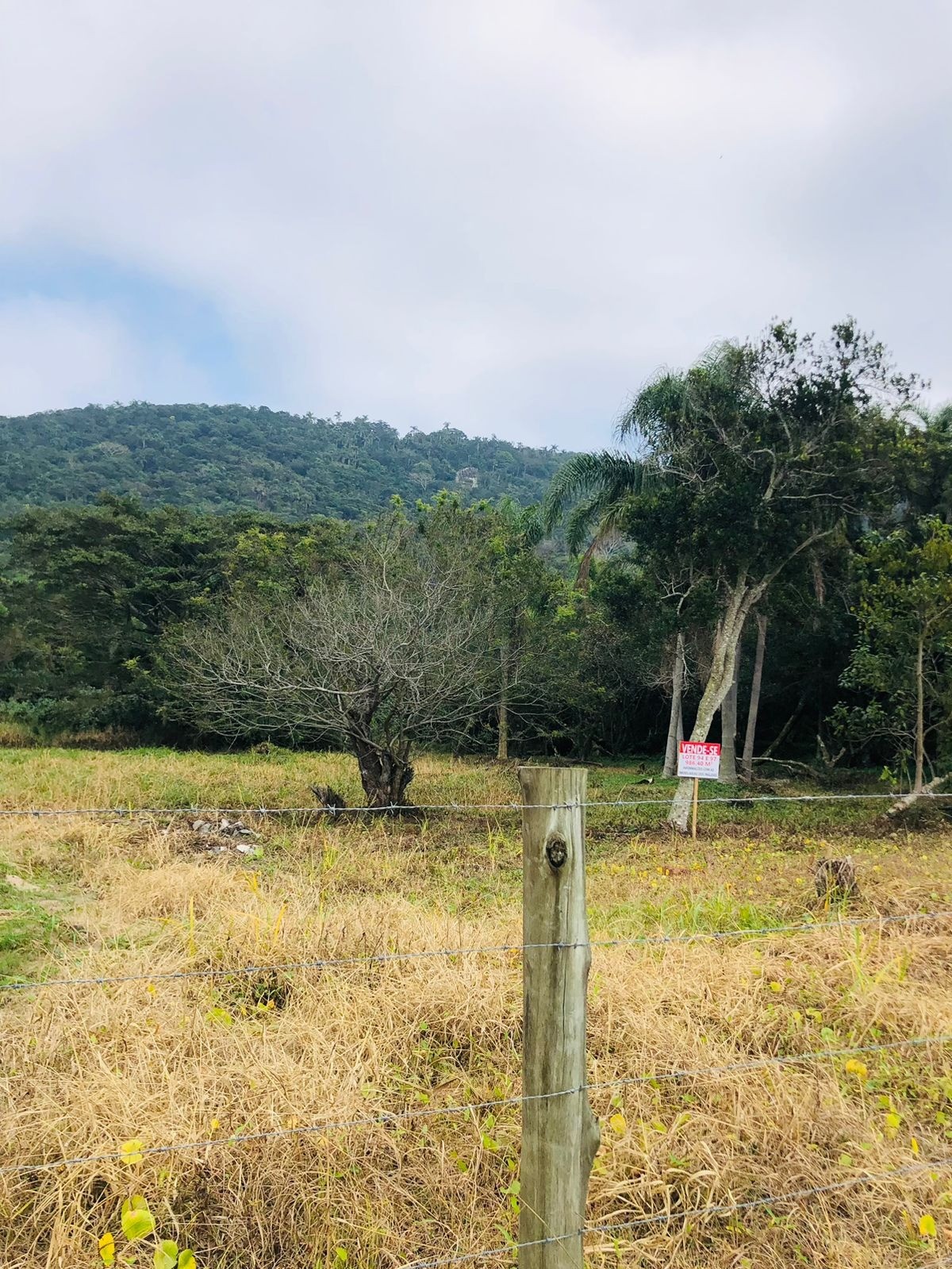 TERRENO PARA VENDA PRAIA DOS INGLESES