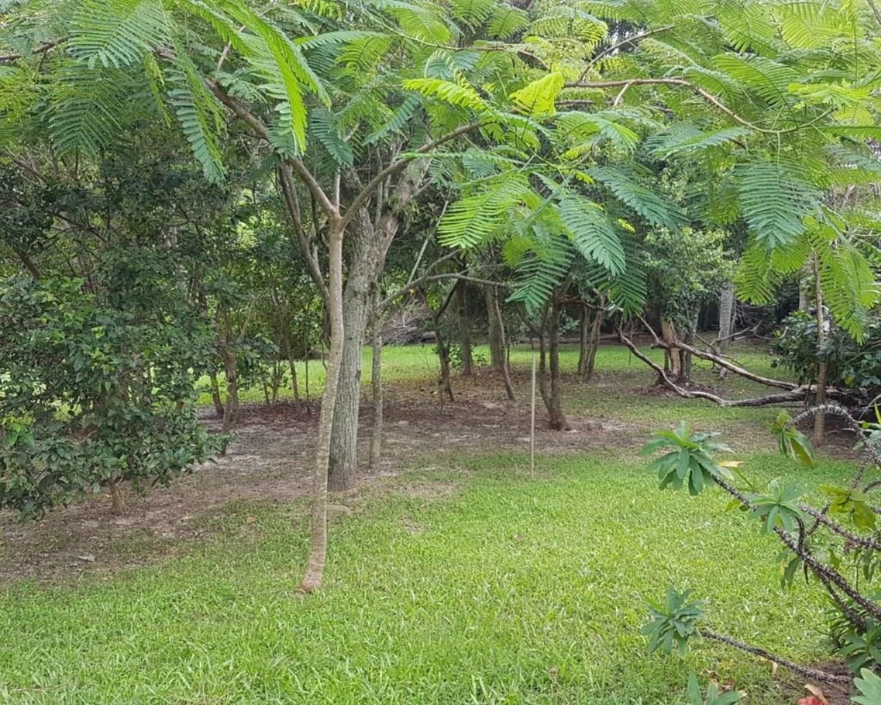 Área à venda, 76230 m² por R$ 5.300.000,00 - rio vermelho - 