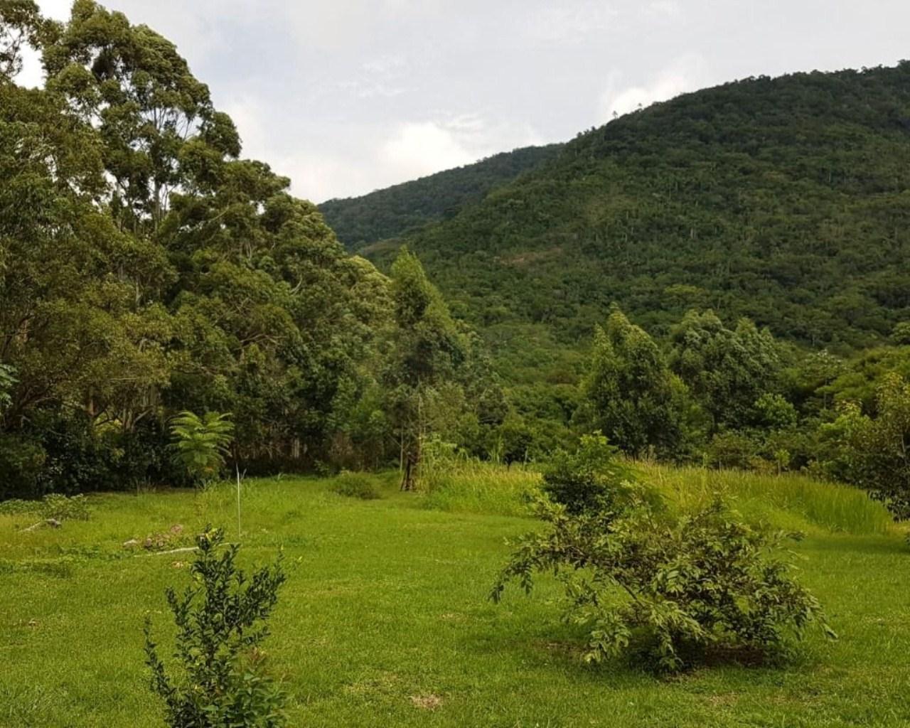 Área à venda, 76230 m² por R$ 5.300.000,00 - rio vermelho - 