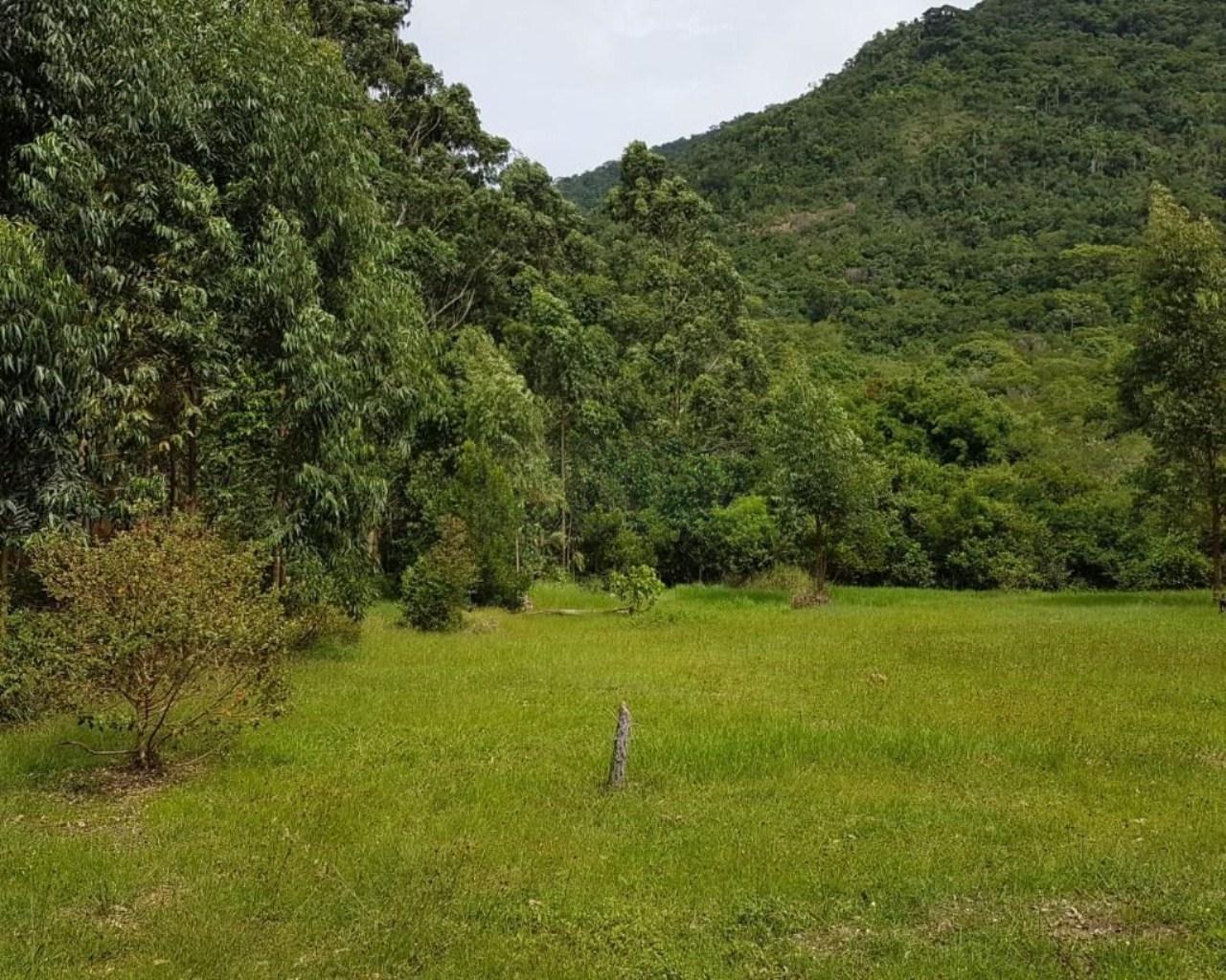 Área à venda, 76230 m² por R$ 5.300.000,00 - rio vermelho - 