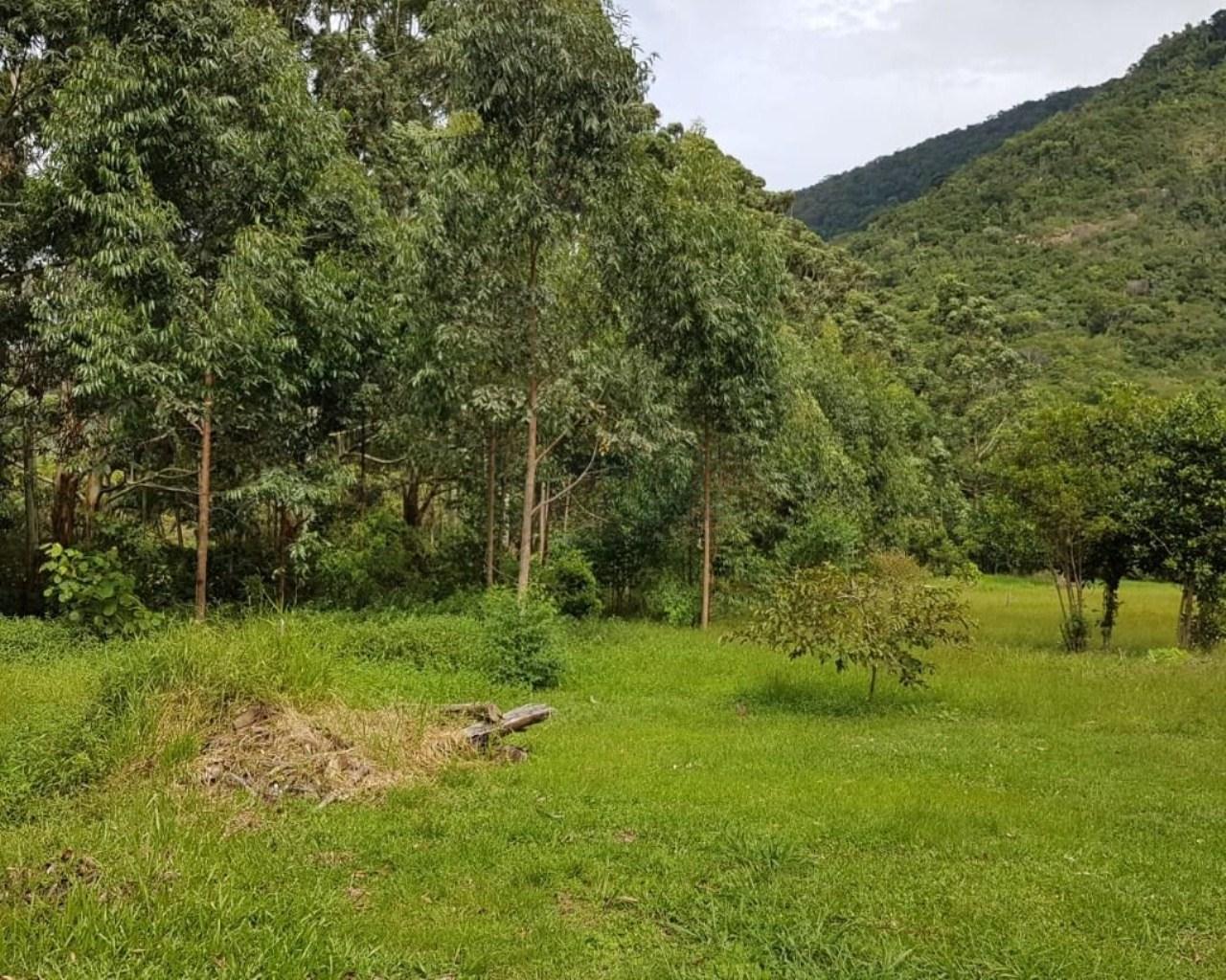 Área à venda, 76230 m² por R$ 5.300.000,00 - rio vermelho - 