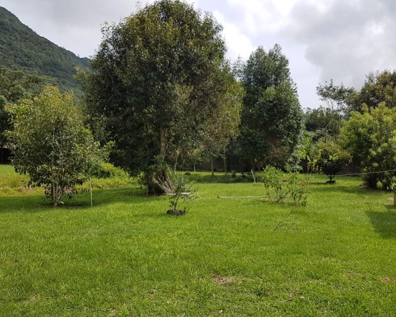 Área à venda, 76230 m² por R$ 5.300.000,00 - rio vermelho - 