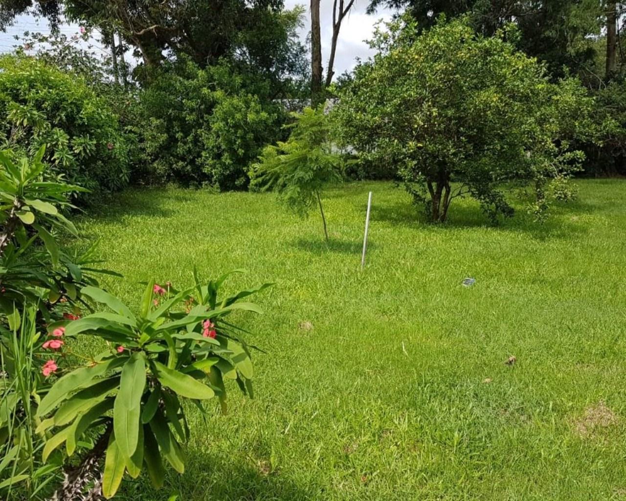 Área à venda, 76230 m² por R$ 5.300.000,00 - rio vermelho - 