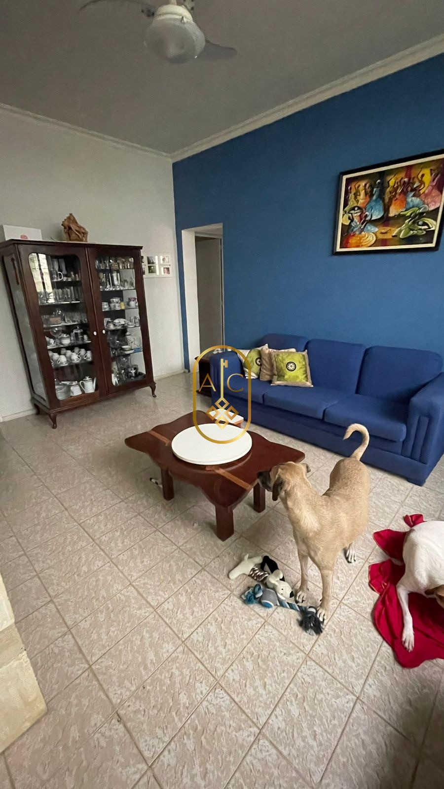 Apartamento nascente na Canela, 3 quartos, área de serviço e área externa.