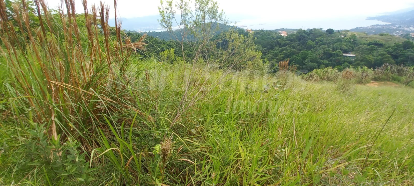 Terreno à venda para investimento no bairro do zabumba em il