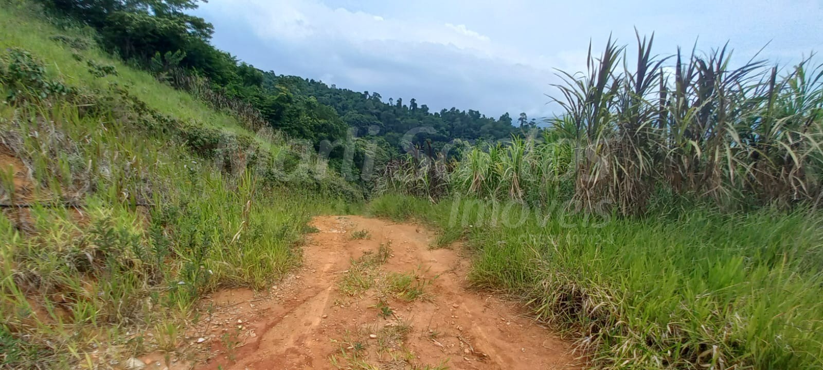 Terreno à venda para investimento no bairro do zabumba em il