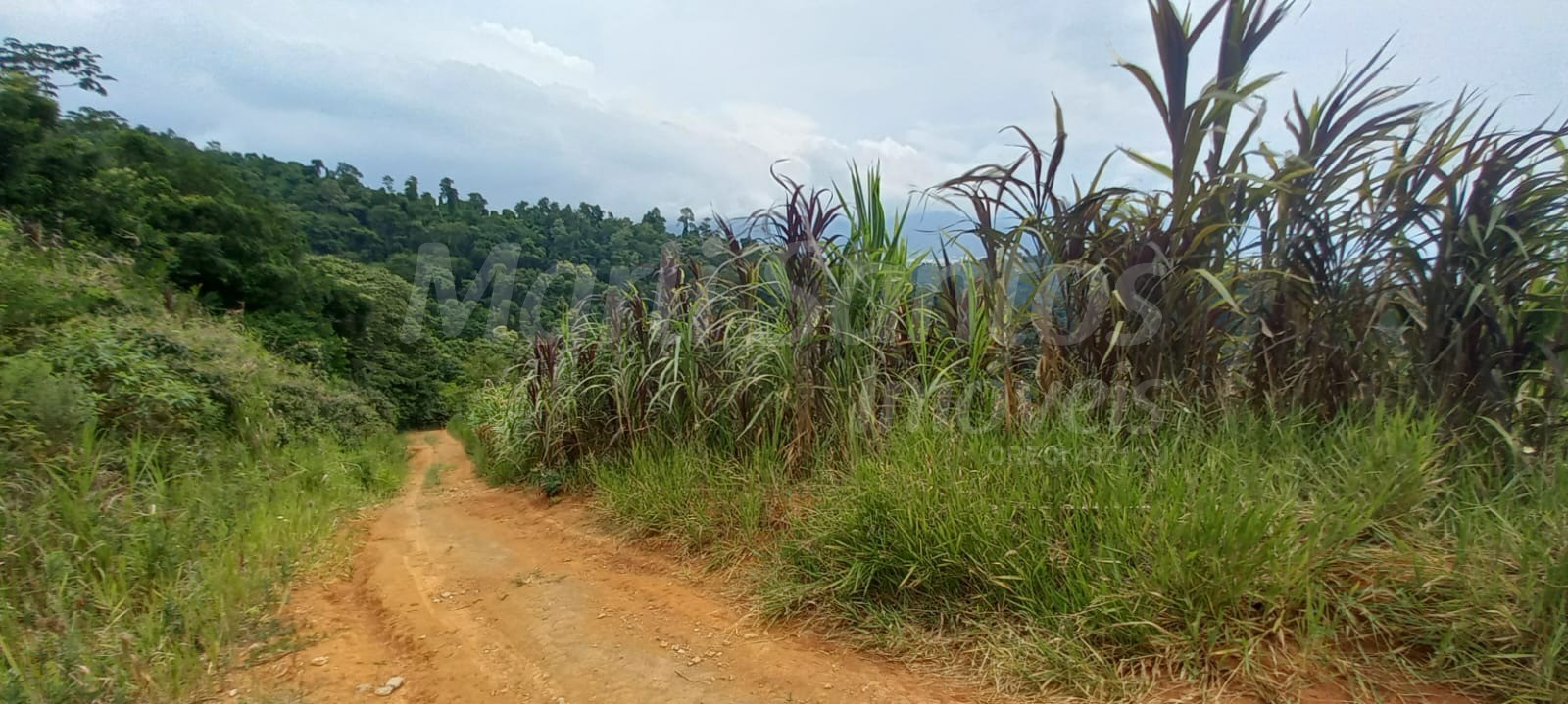 Terreno à venda para investimento no bairro do zabumba em il