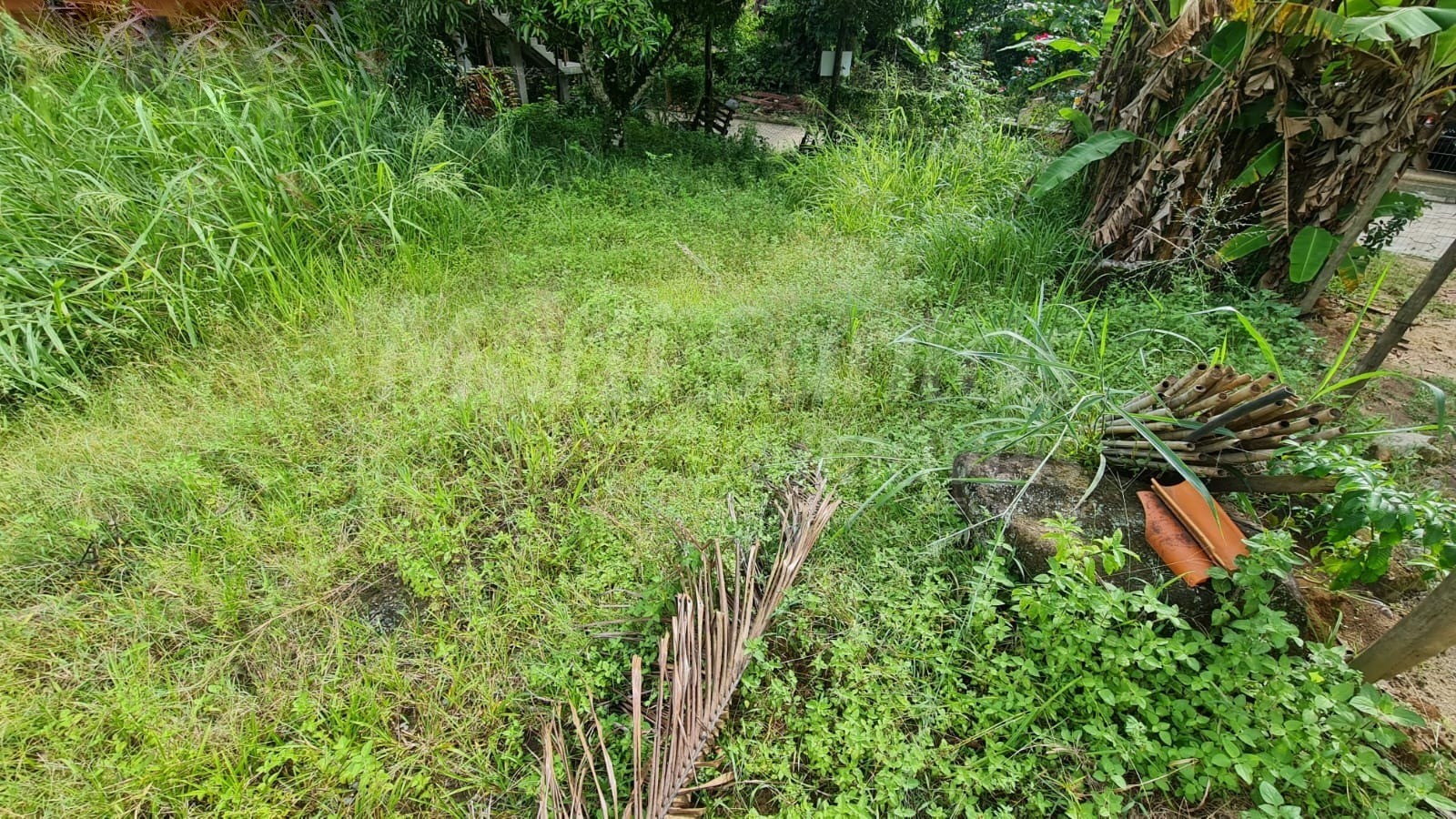 Terreno plano à venda na costa bela em ilhabela-sp