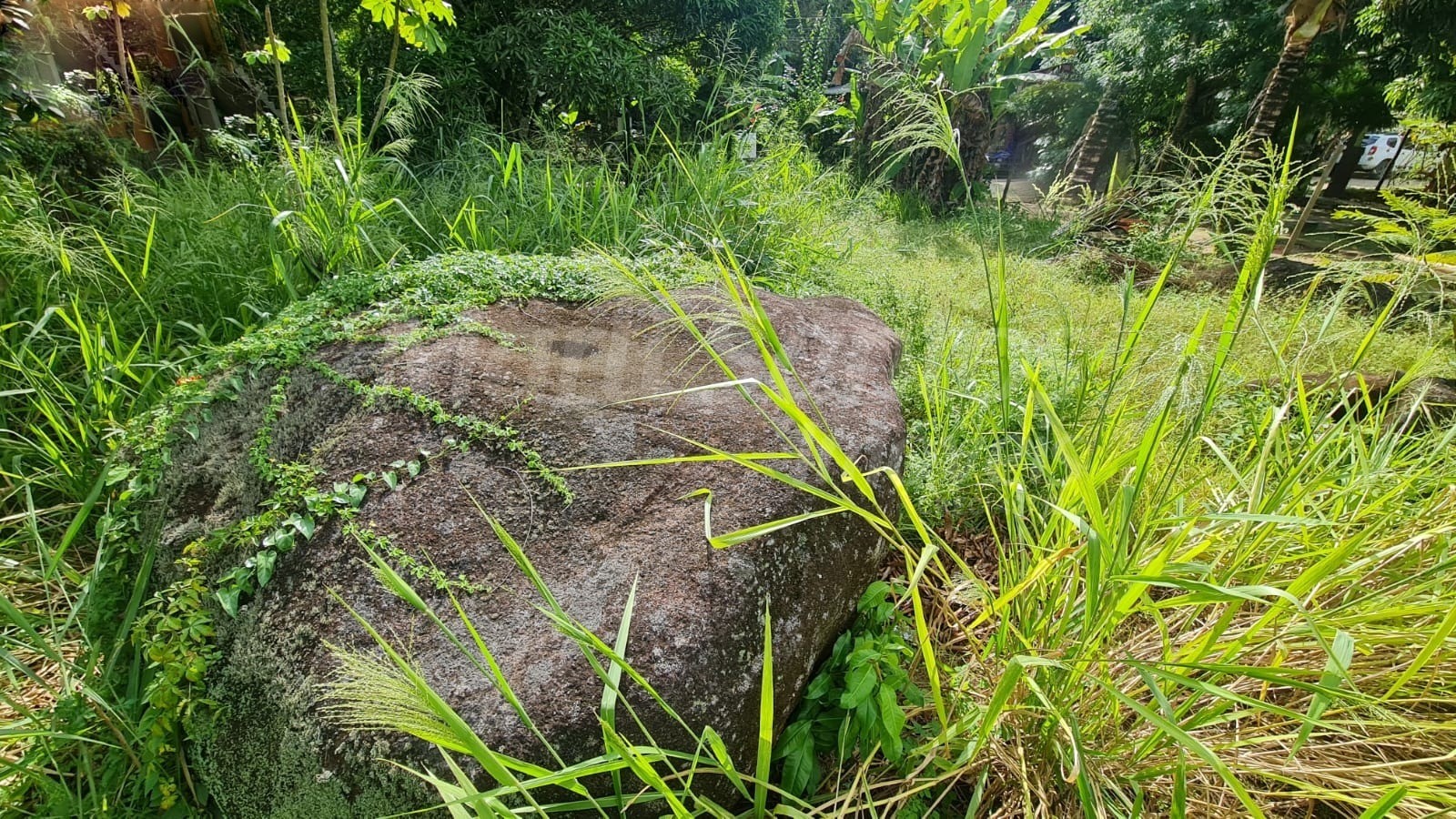 Terreno plano à venda na costa bela em ilhabela-sp