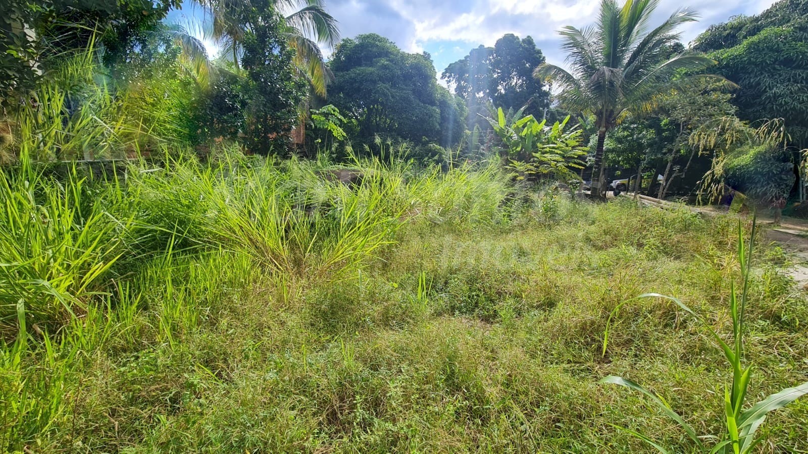 Terreno plano à venda na costa bela em ilhabela-sp