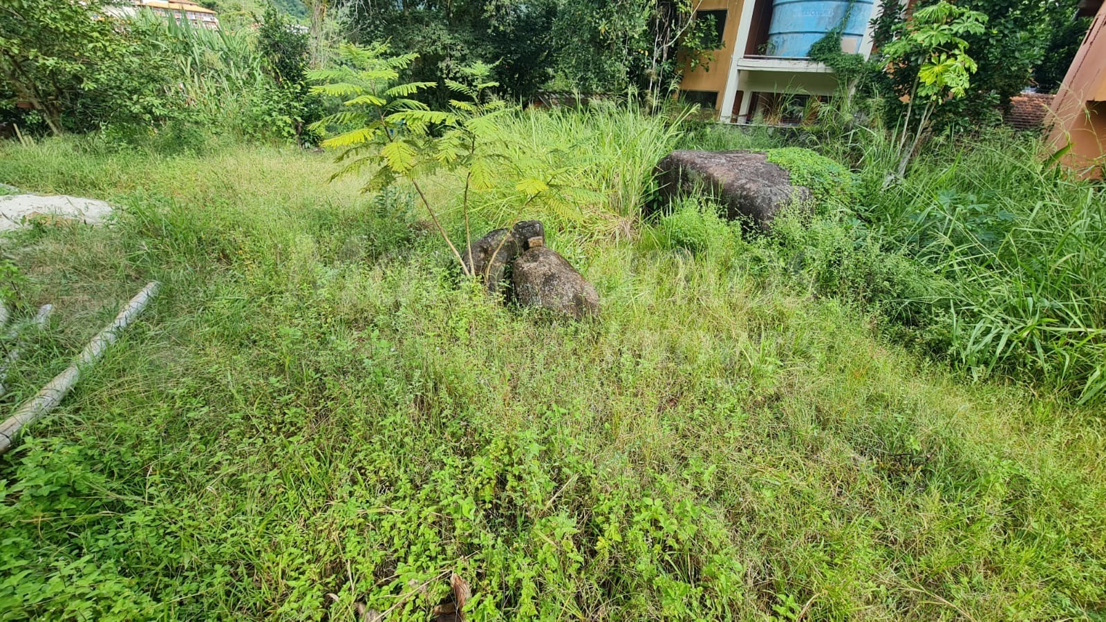 Terreno plano à venda na costa bela em ilhabela-sp