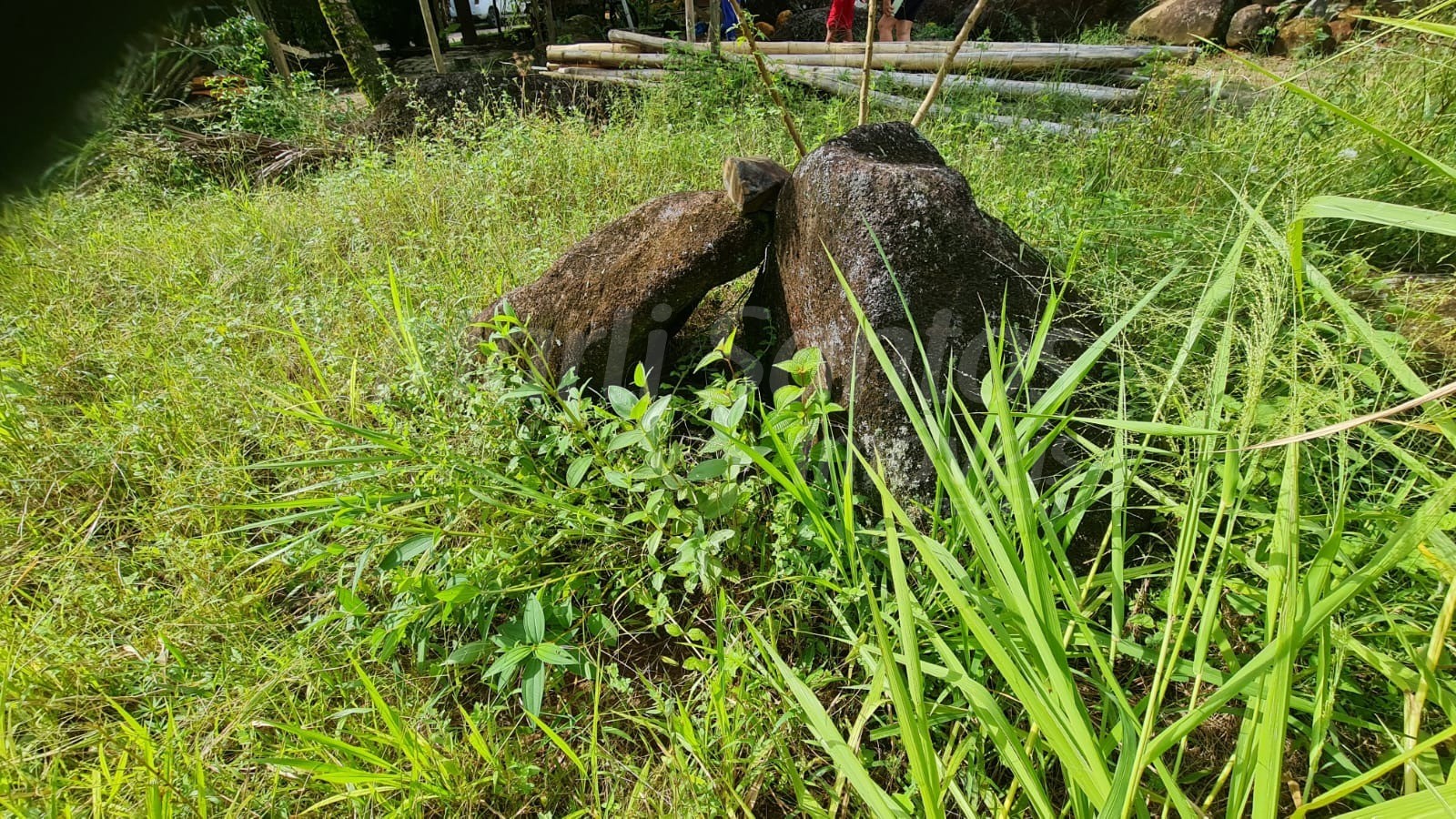 Terreno plano à venda na costa bela em ilhabela-sp