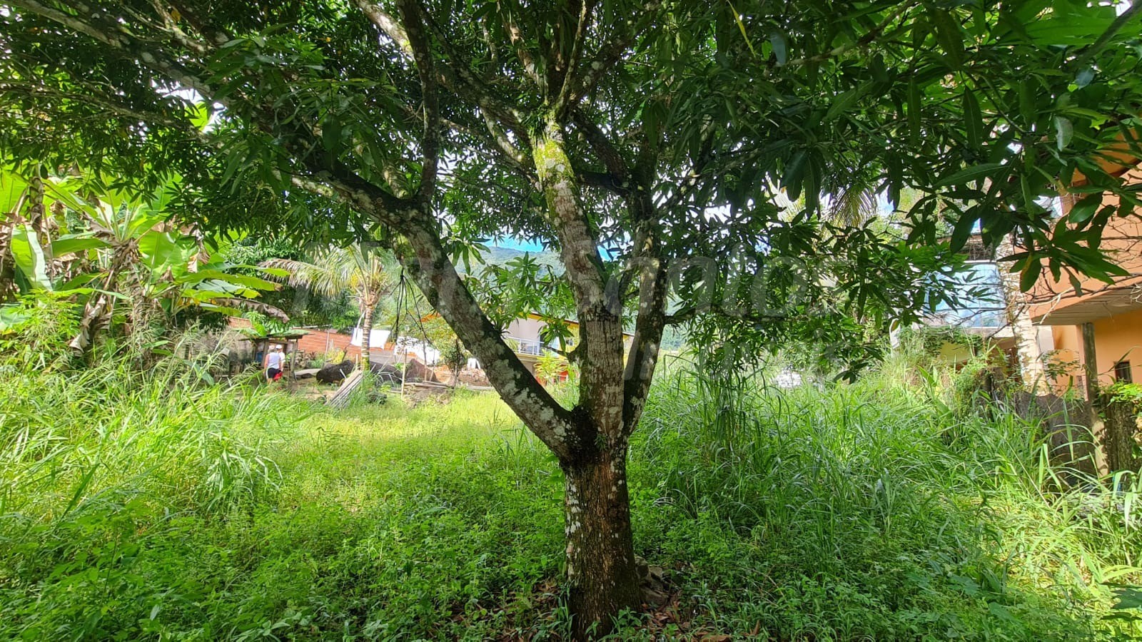Terreno plano à venda na costa bela em ilhabela-sp