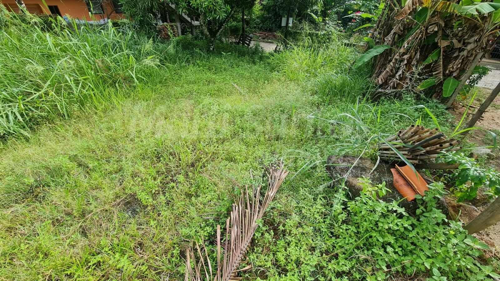 Terreno plano à venda na costa bela em ilhabela-sp