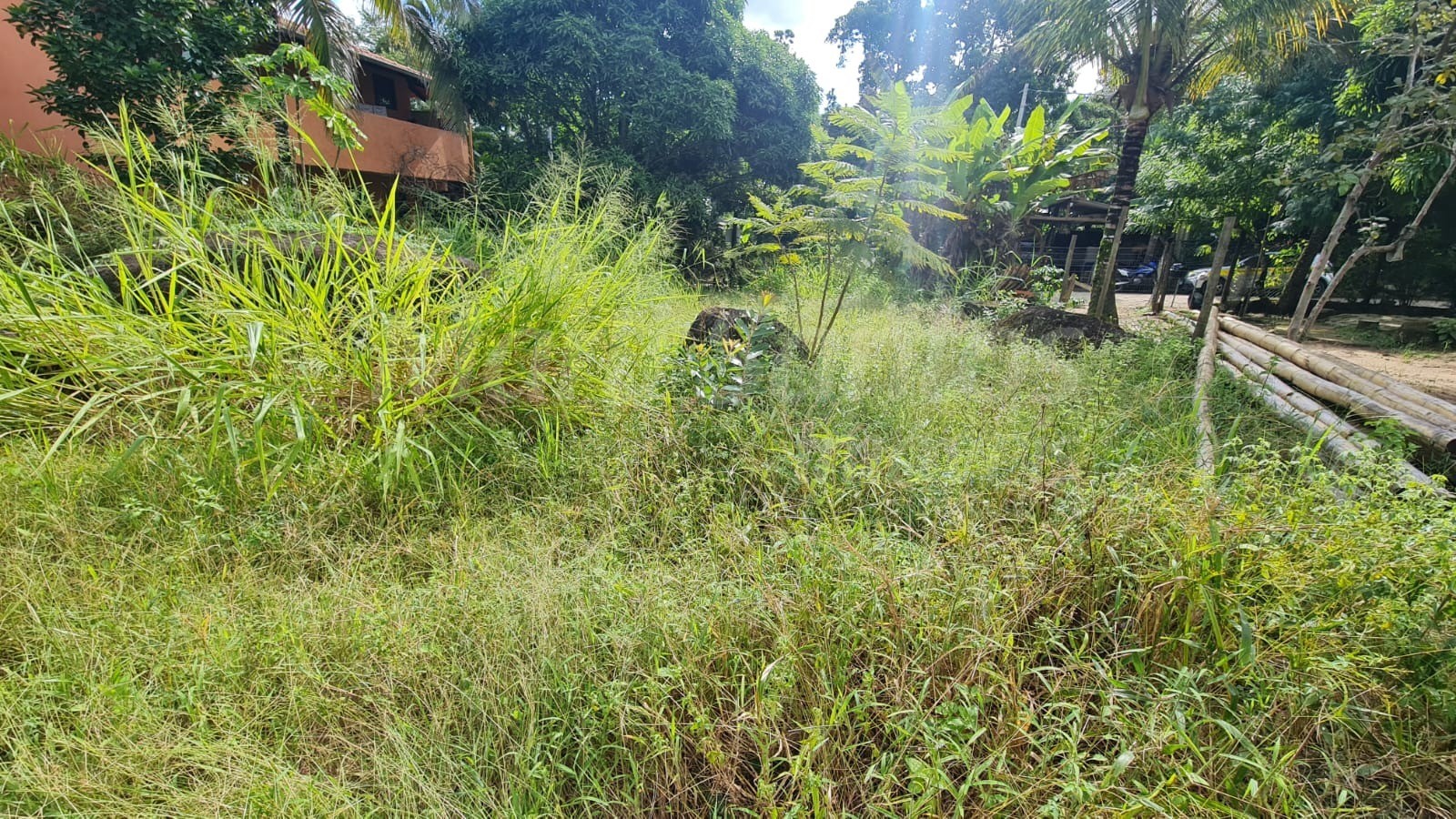 Terreno plano à venda na costa bela em ilhabela-sp