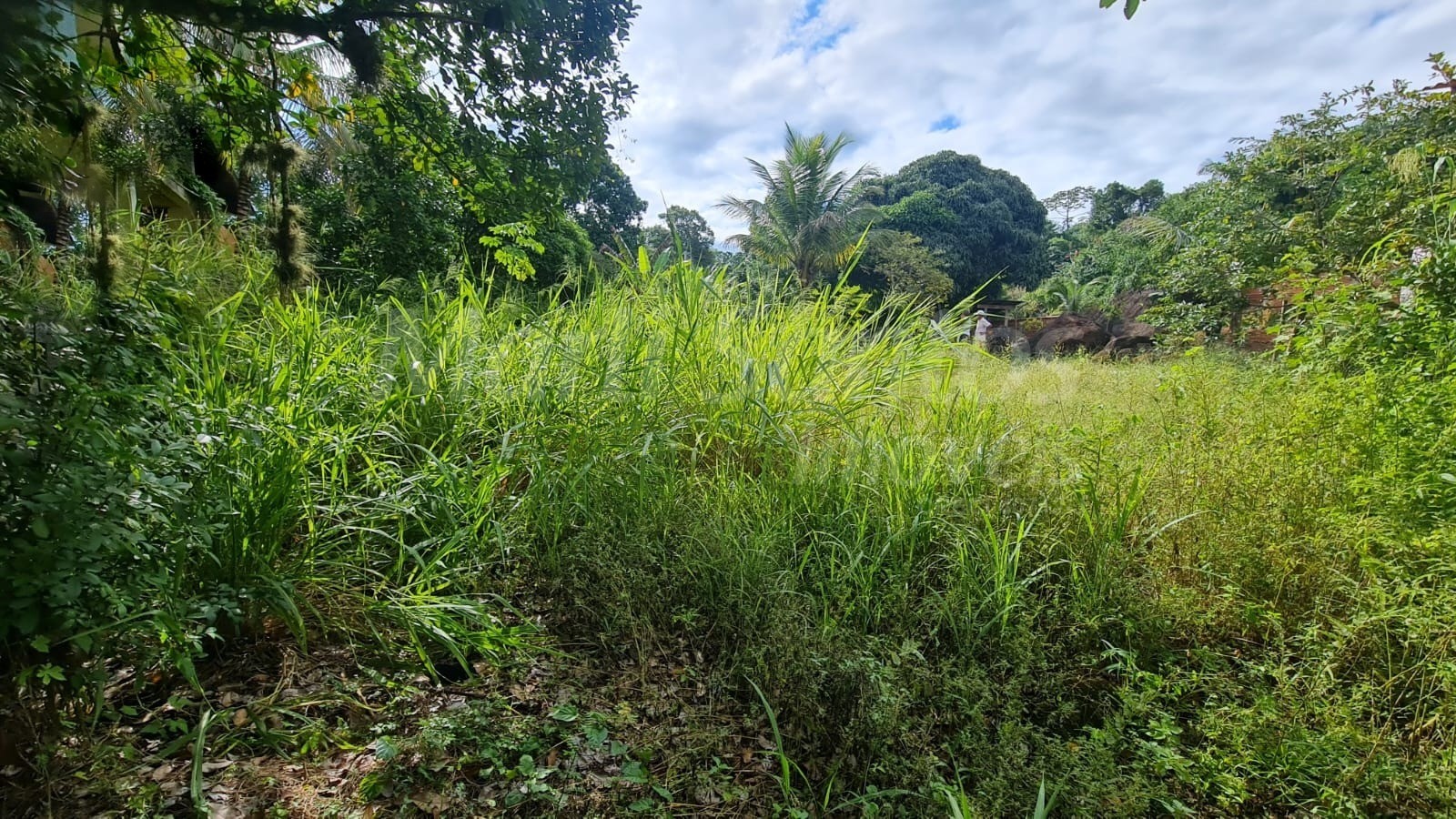 Terreno plano à venda na costa bela em ilhabela-sp