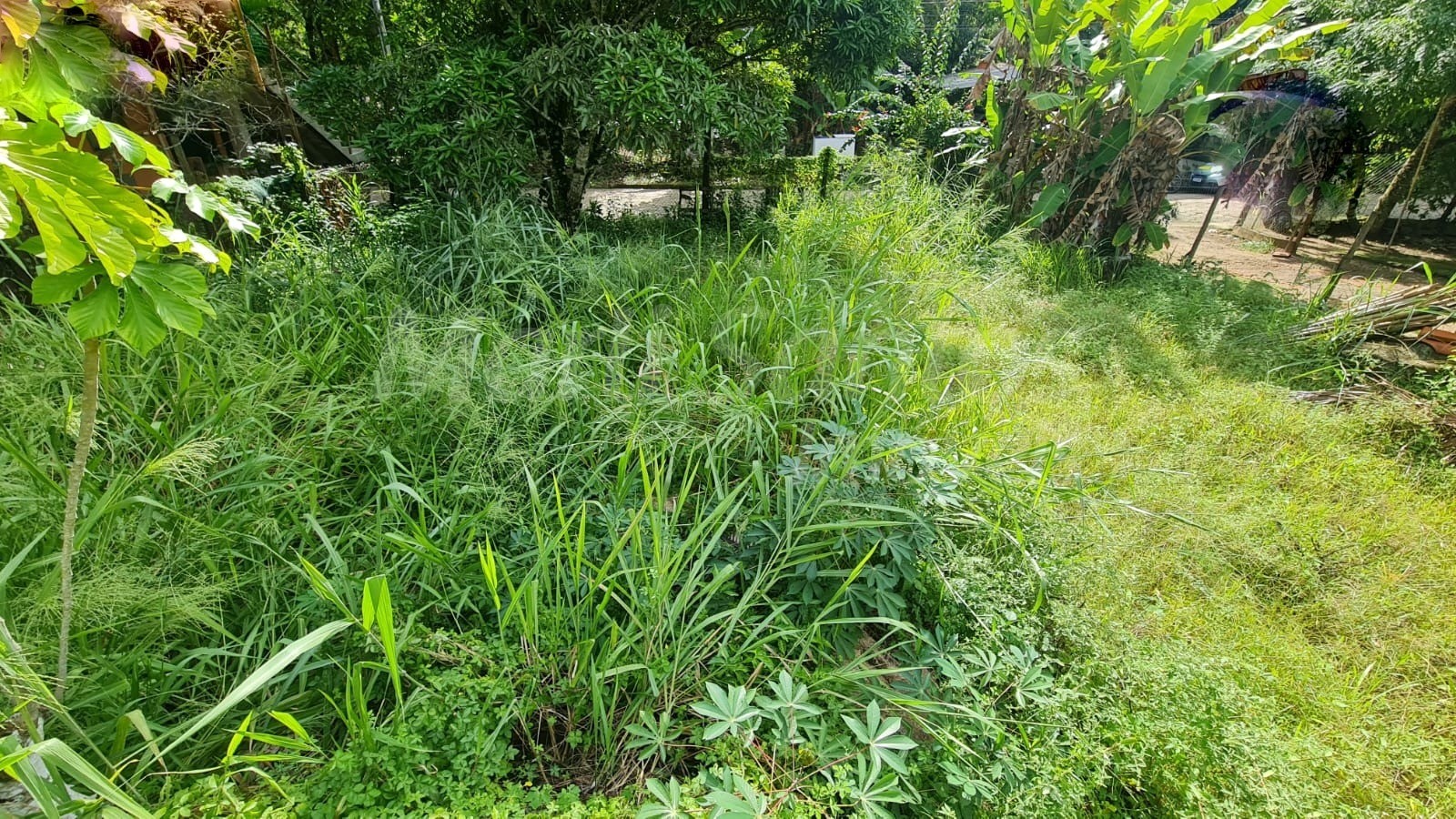 Terreno plano à venda na costa bela em ilhabela-sp
