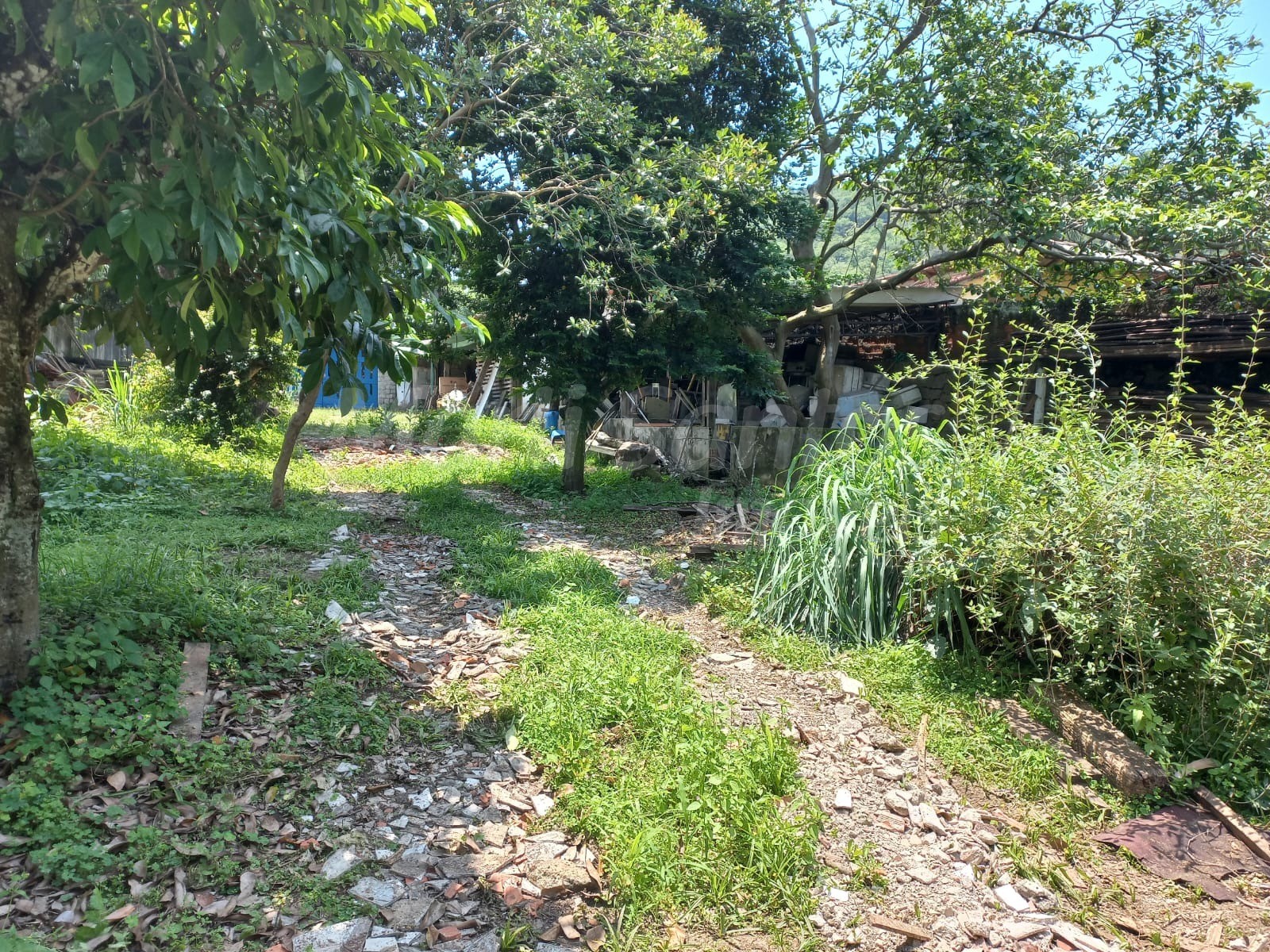 TERRENO PLANO COM GALPÃO À VENDA NO PORTINHO EM ILHABELA-SP