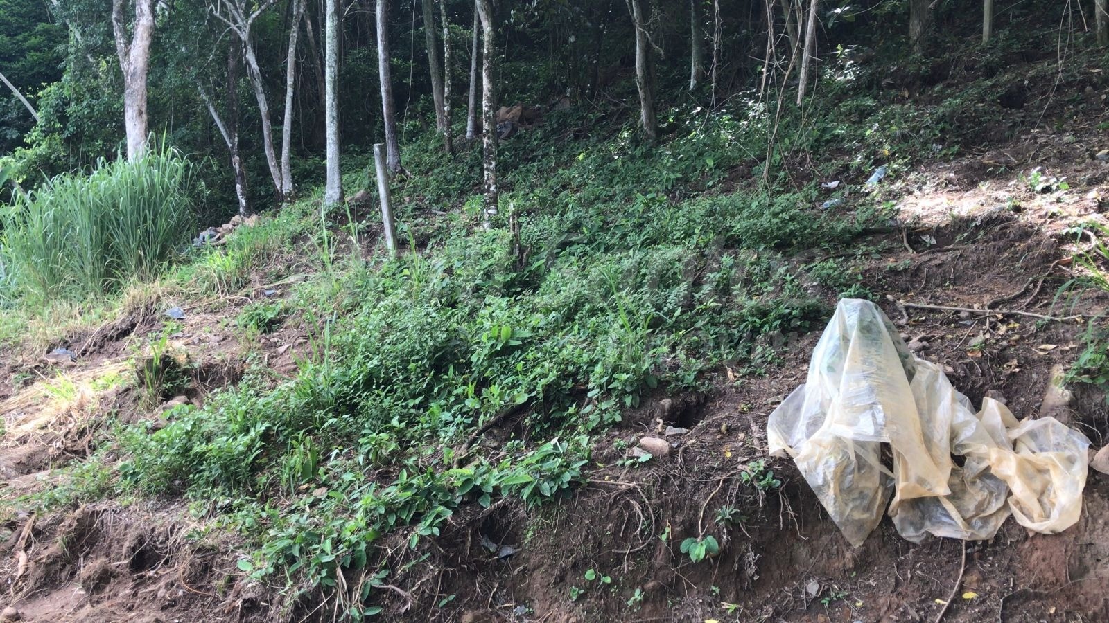 Terreno à venda no perequê em ilhabela-sp