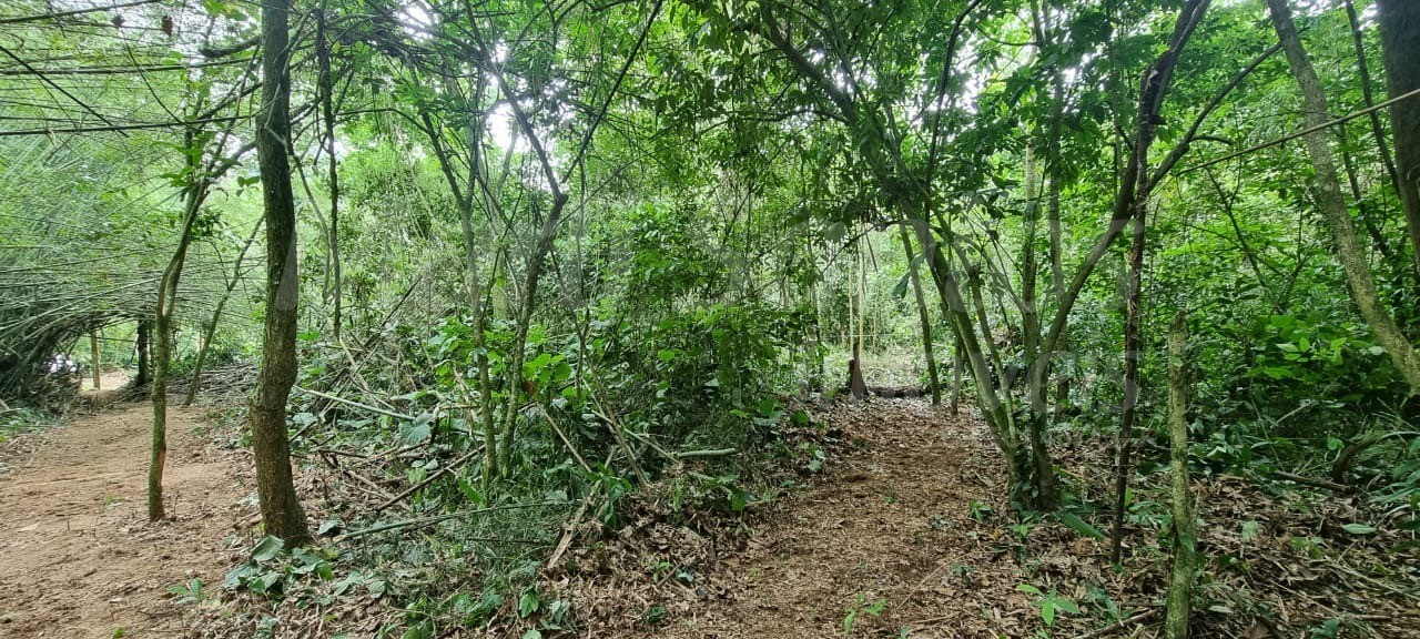 Terreno à venda no perequê em ilhabela-sp
