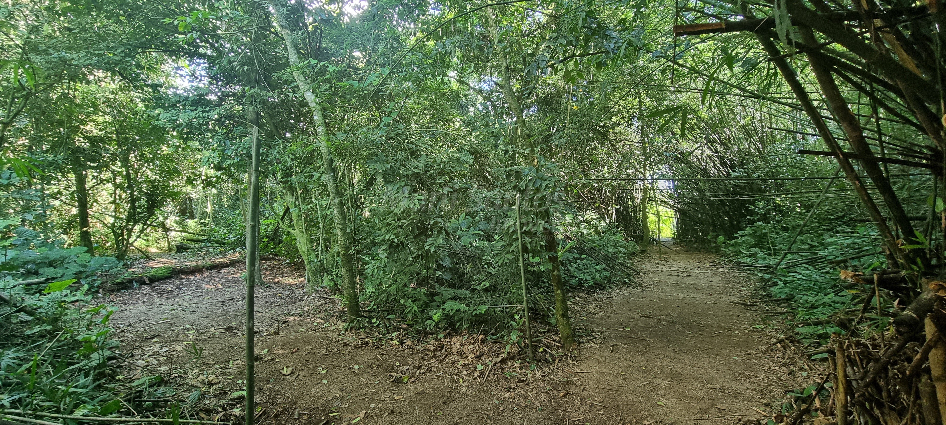 Terreno à venda no perequê em ilhabela-sp