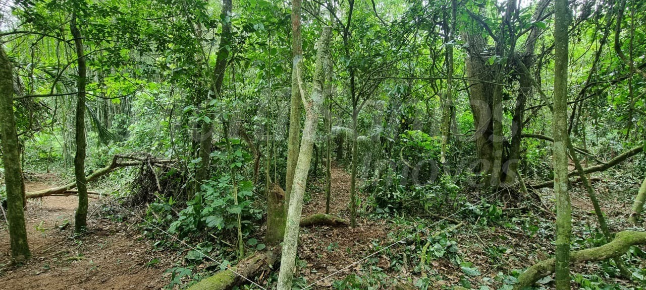 Terreno à venda no perequê em ilhabela-sp