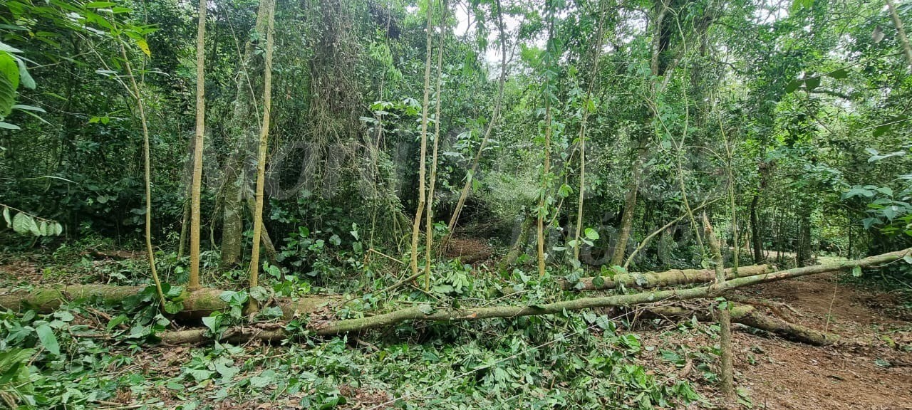 Terreno à venda no perequê em ilhabela-sp