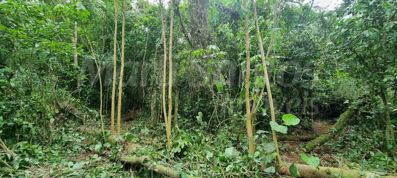Terreno à venda no perequê em ilhabela-sp