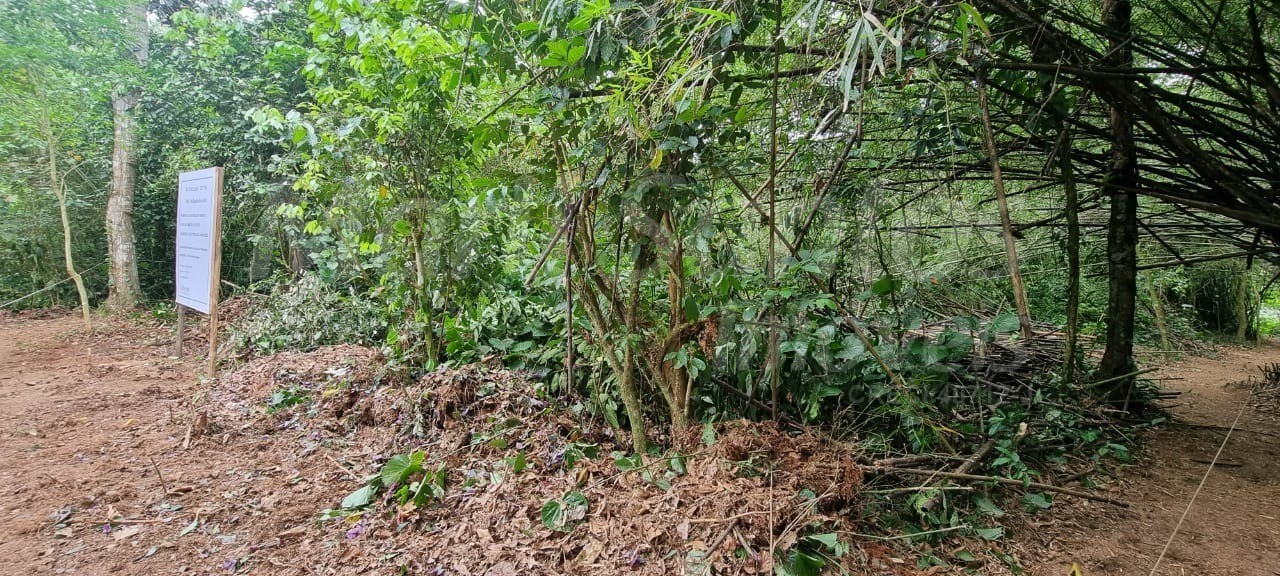 Terreno à venda no perequê em ilhabela-sp