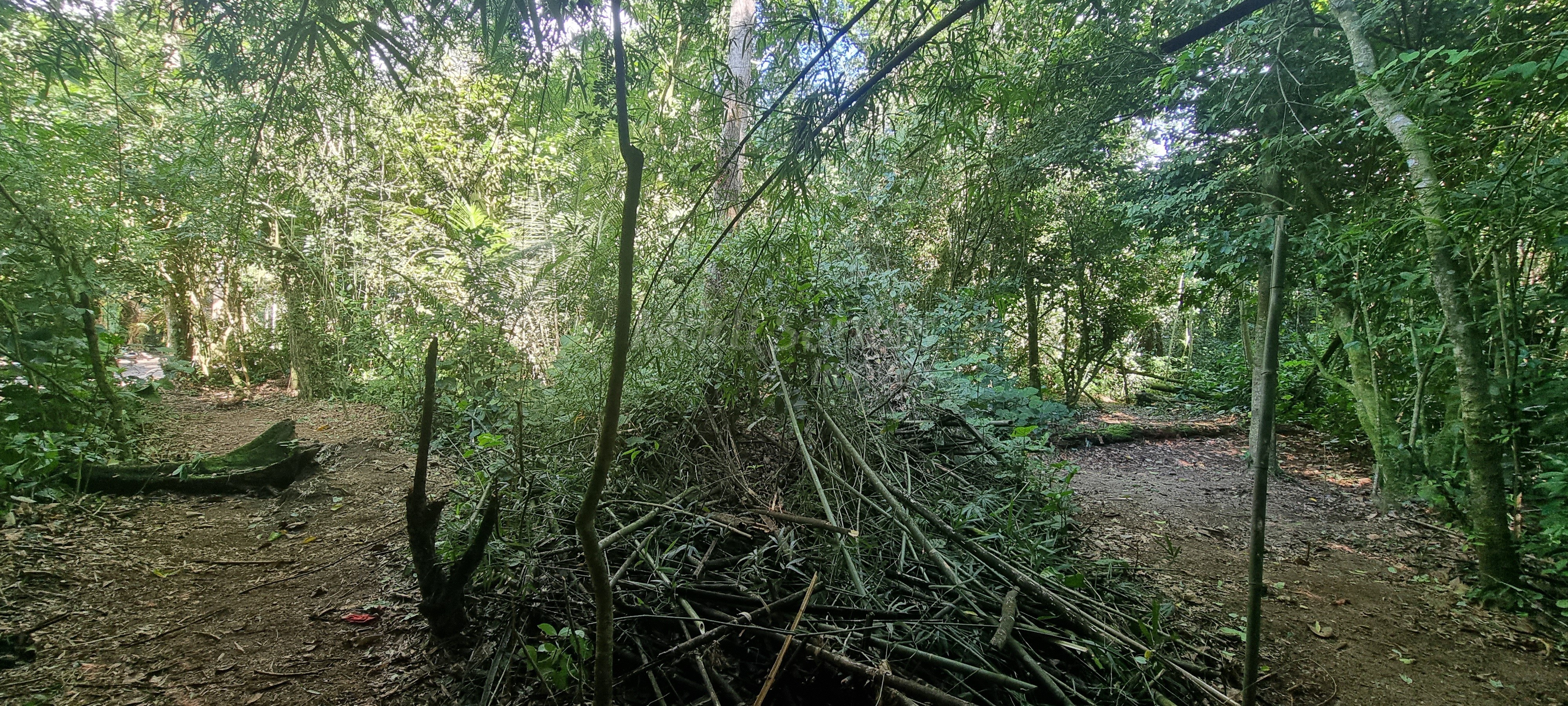 Terreno à venda no perequê em ilhabela-sp