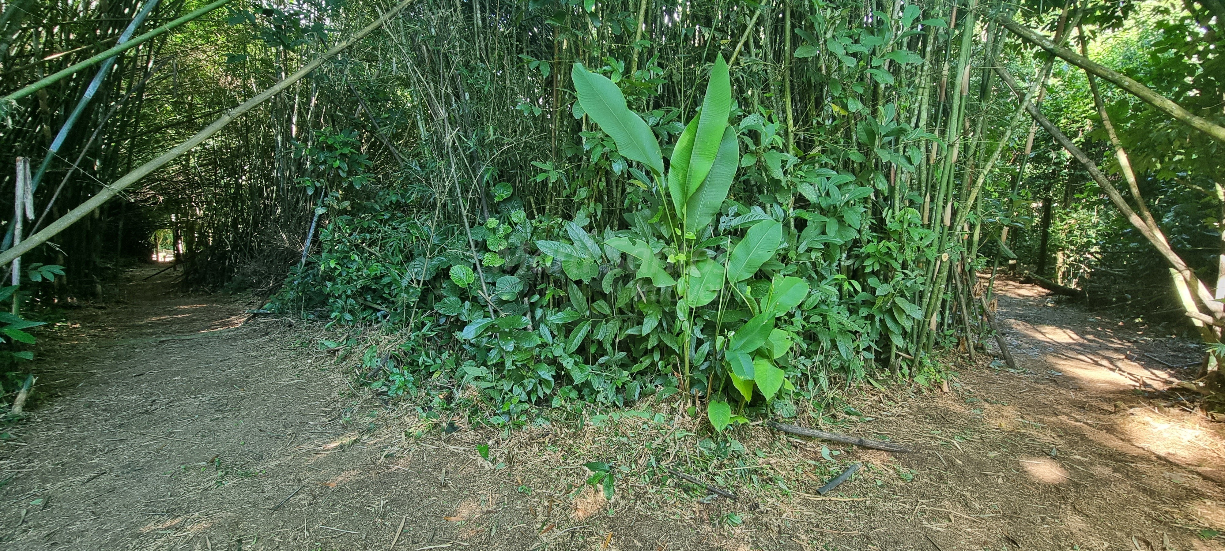 Terreno à venda no perequê em ilhabela-sp